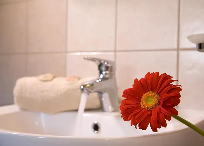 Anthemis Luxury Kariotai